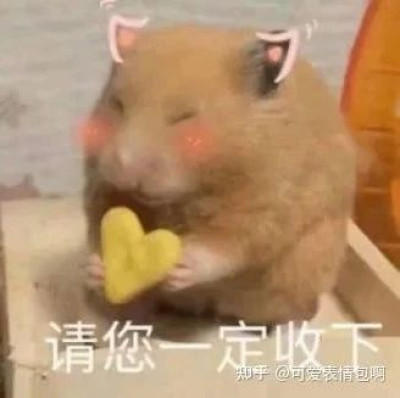 100块的粉底液竟然吊打1000块大牌？