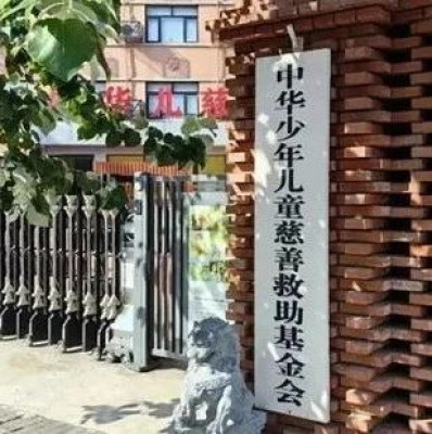 中华儿慈会被取消这项资格