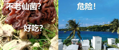 为了永葆青春，他们吃下这种鲜美的蘑菇，结果身体慢慢变得僵硬……