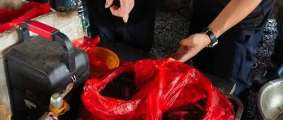 药残超10倍！湘潭通报“问题泥鳅”案