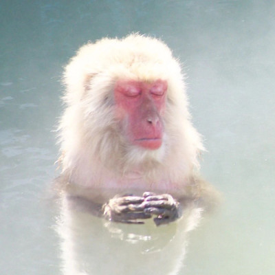 日本，怎么就成了江浙沪打工人的后花园？