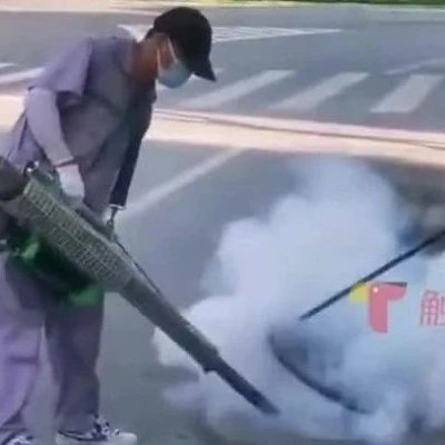 广东蟑螂已“进化”？疾控部门回应