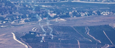 2024，谁赢谁输？| 参考独家