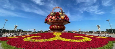 “蔬果花篮”亮相！里面装的是？🤔