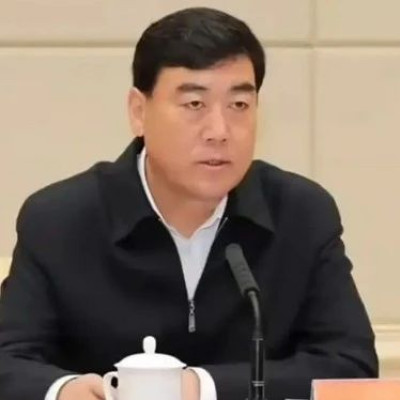 数月未露面，杨发森主动投案