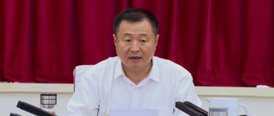 李德明，主动投案