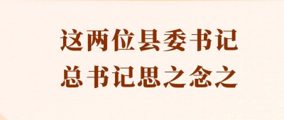 这两位县委书记，总书记思之念之
