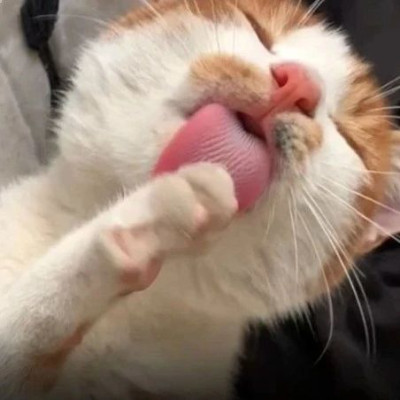 什么？脚后跟还可以比脸嫩？