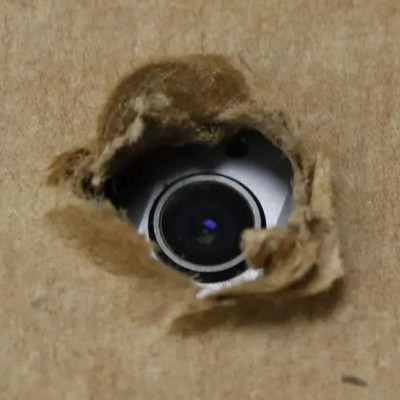 民宿内发现偷拍，经营者不知情就没责任吗