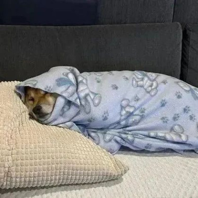 薄薄一层比羽绒被还保暖？气凝胶被子是智商税吗？