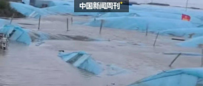 多地发生海水倒灌，如何应对？