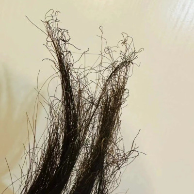 别不信，洗完头做对这个，真能挽救你的头发！