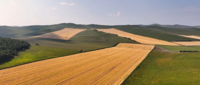 从“啤酒自由”到“大麦自由”，还需要走多远？