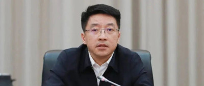 高朋，被“双开”