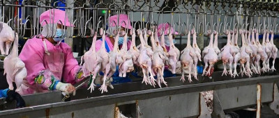 灵活上班、弹性工作！一地发布“妈妈岗”用人目录