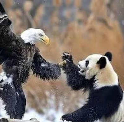 从含蓄到直接点名，中国反击力度升级