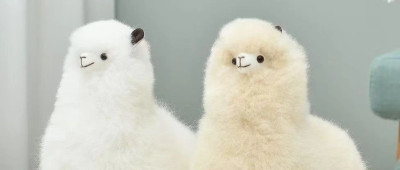 被外交部发言人点赞！这群“萌物”啥来头？