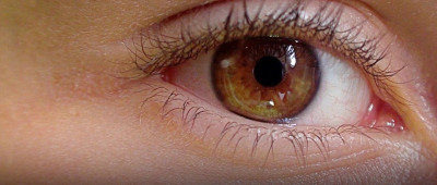 你的眼睛随时都在抖动，只是你不知道