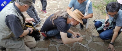 全世界的专家第一次来到这个公园时都震惊了，你们中国的化石多到用来铺路吗？