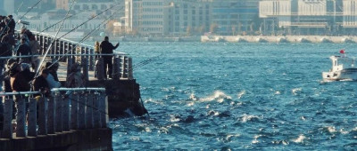 中年男人的白月光，要IPO了