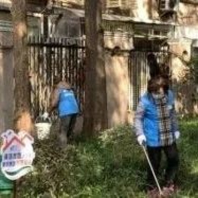 疾控专家：消灭一只越冬蚊，来年减少千只“蚊二代”