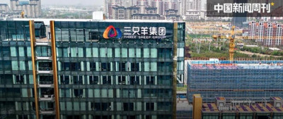 头部主播，栽了