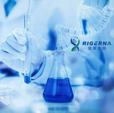 「炫景生物」完成超亿元新融资，肝靶点管线与肝外递送均取得突破｜早起看早期