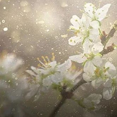 应对气候变化健康风险，我们能做些什么？