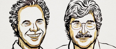 2024年诺贝尔生理学或医学奖公布