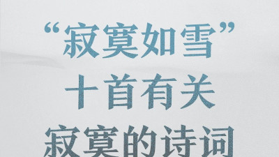 总有一句诗词，说中你寂寞的心事