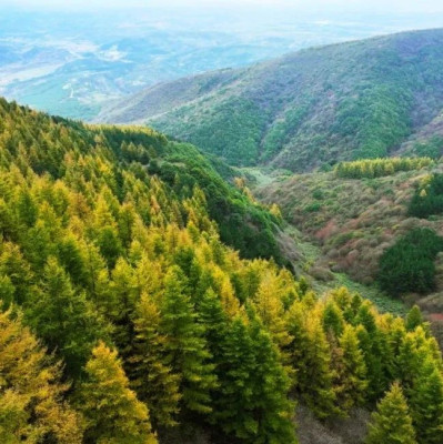 重阳节，登高处眺山川
