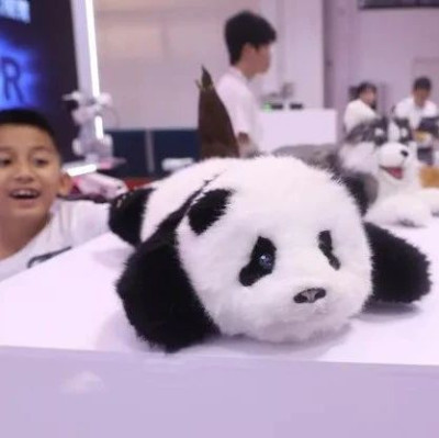 年轻女性的「孤独经济学」，离职大厂创业者盯上陪伴机器人｜焦点分析