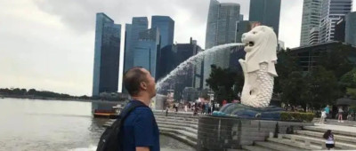 悲剧，新加坡机票又跌了。。。。