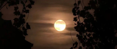 抬头哇！月亮超级大！