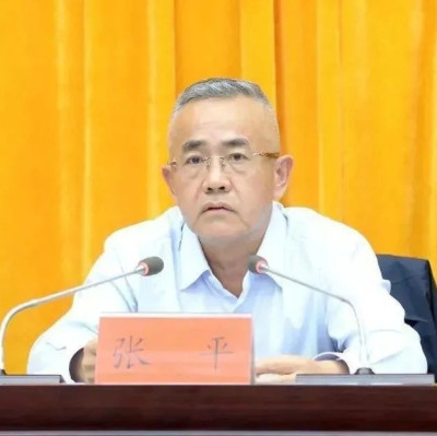 张平，被提起公诉