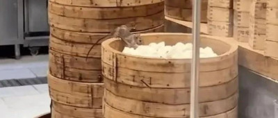 “老字号”门店茶点遭老鼠啃食，最新回应