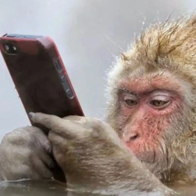 冬天不能每天洗澡真不是人脏，而是因为……