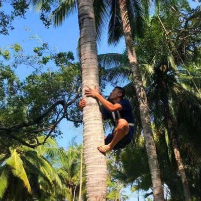 嚯！原来这就是全国最会爬树的男人！