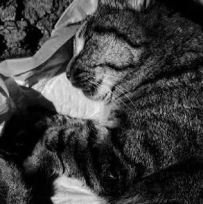 华中农业大学：在校生苏某某，严重警告！