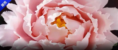 骗人的吧！这怎么能是瓷？