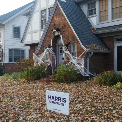 德媒：美民主党将因败选陷生存危机