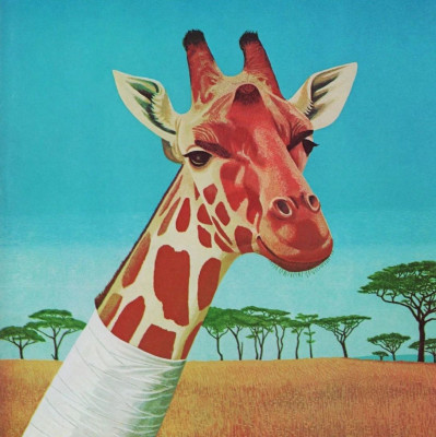 从竹子中长出来的“宝石” | 经典回眸