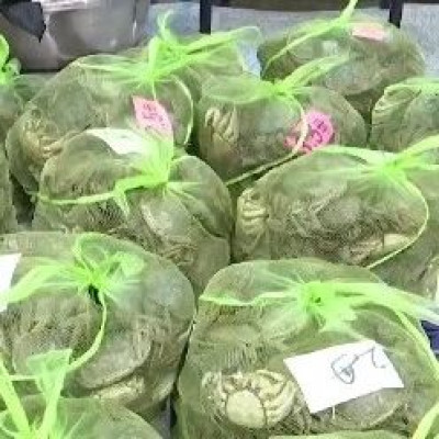 多地大闸蟹大量上市！品质提升价格回落