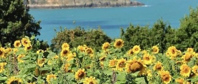 七言 | 别劝任何人