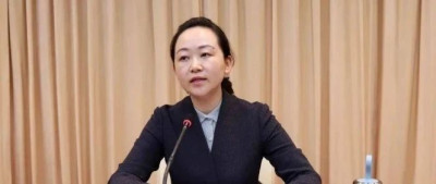 厅长杨沐，履新商务部