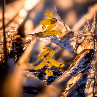 今日立冬：愿你三冬暖，不惧岁月寒