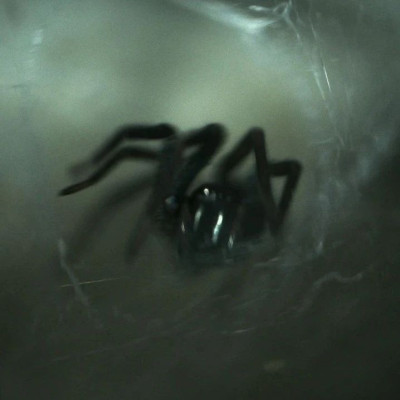 多看恐怖片，有利于个人成长与发展？｜科学60秒