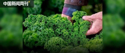 奶茶店的菜，比饭店都多了