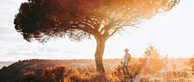 七言 | 经常想念一个人，会重逢吗？