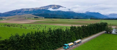 这个中国品牌的纪录片在海外引共鸣